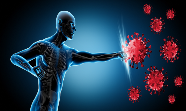 أنواع المناعة في جسم الإنسان
