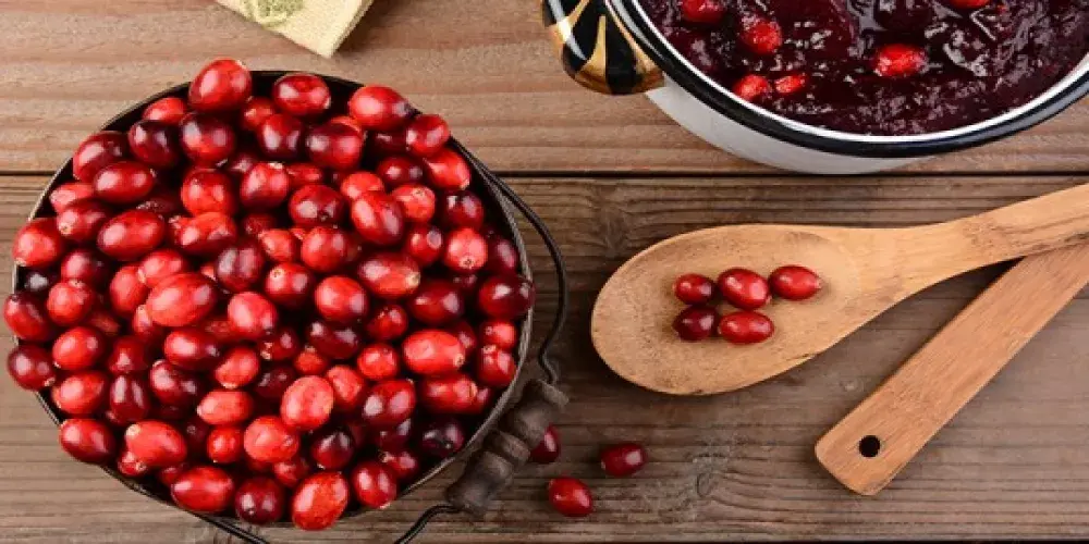 أهمية توت العليق الأحمر للمسالك البولية