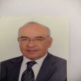 دكتور محمد العناني أستاذ الجراحة و الأورام و المناظير في التجمع
