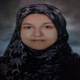 دكتورة نجلاء السيد أخصائي نفسي في المنتزه