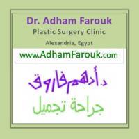 أستاذ ورئيس قسم جراحة التجميل كلية الطب جامعة الإسكندرية