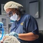 دكتورة مريم لطفي اخصائي تجميل وزراعة الاسنان في شبرا
