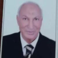 دكتور عبدالمحسن حسين استشاري طب و جراحة العيون في المقطم