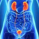 استشاري جراحة المسالك البولية