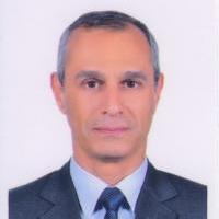 استاذ الباطني والجهاز الهضمي جامعه عين شمس