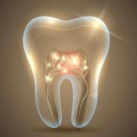 طب الفم والأسنان القصر العيني جامعة القاهرة
تخصص بالغين