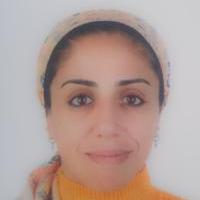 استشاري النساء والتوليد