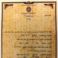 اخصائي الاوعيه جامعه عين شمس