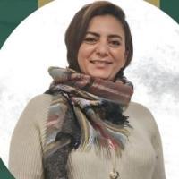 إستشاري الطب النفسي و علاج الإدمان
البورد العربي في الطب النفسي
نائب مدير مستشفى حلوان للصحة النفسية سابقا