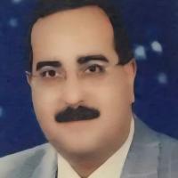 استاذ متفرغ بجامعة الزقازيق ورئيس قسم الاطفال بجامعة الملك عبدالعزيز بجدة واستشاري اول طب الاطفال وحديثي الولادة