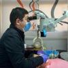 دكتور محمد عصام الشيتانى اخصائي طب وجراحه الفم والاسنان في سموحة