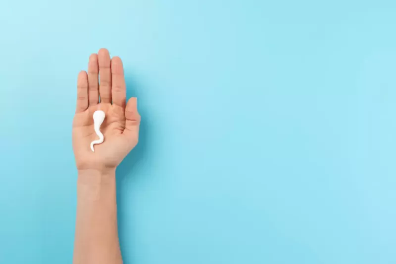 تحسين نسبة الحيوانات المنوية للحصول على حمل طبيعي