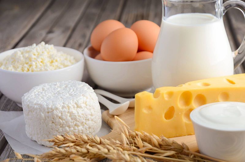 أهمية منتجات الألبان للصيام فى شهر رمضان