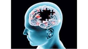 امراض الدماغ الشائعة و كيفية التعامل معها