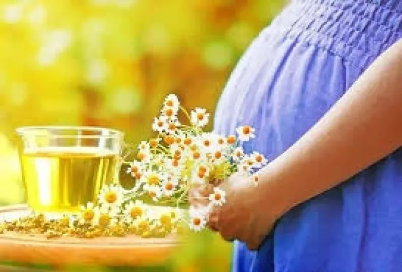 فوائد وأضرار البابونج للحامل