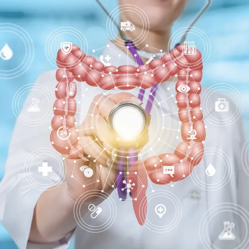 الإنزيمات الهاضمة وأهميتها