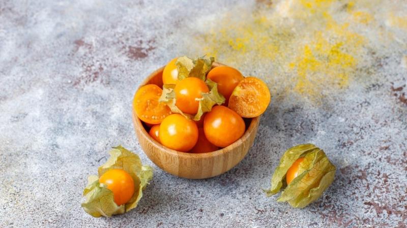 الحرنكش وفوائده الصحية للجسم